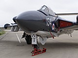 Sea Vixen